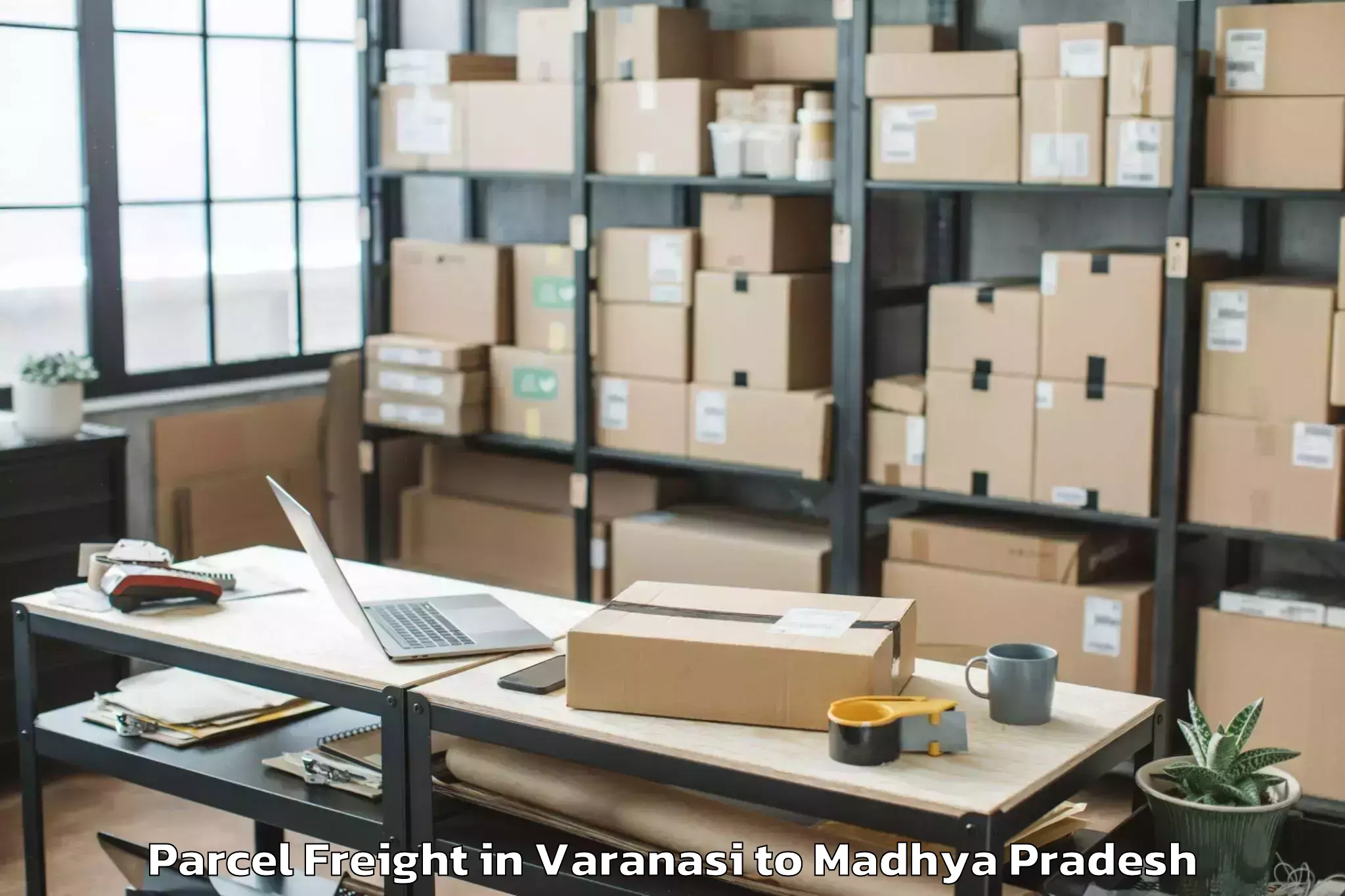 Top Varanasi to Anuppur Parcel Freight Available